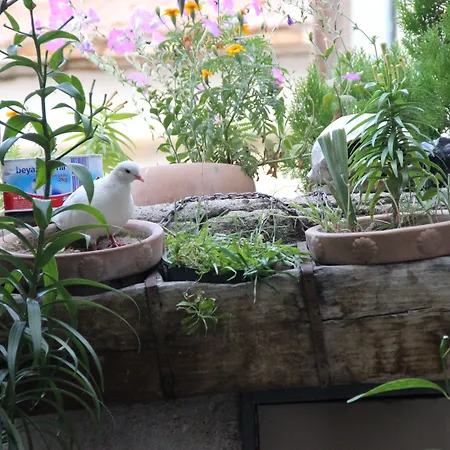 Kro Kismet Cave House 4*