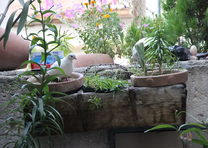 Värdshus Kismet Cave House 4*